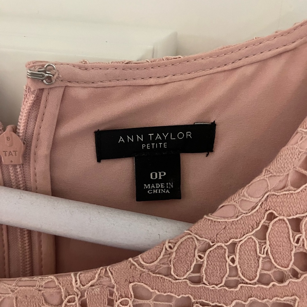Ann Taylor Blush Lace Mini Dress - Picture 4 of 4